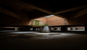 アイ工務店のカビ問題の真相は？原因と対策を徹底解説